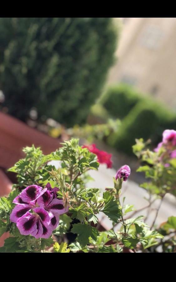 Tilal Almadina Hotel & Suites Amman Exteriör bild